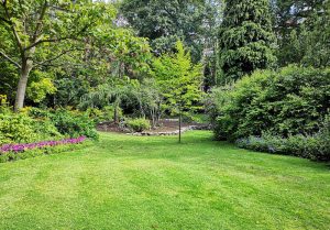 Optimiser l'expérience du jardin à Wasnes-au-Bac