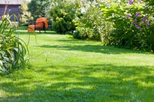 travaux jardin et paysage Wasnes-au-Bac